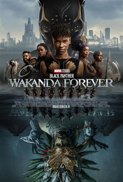 wakanda forever summary|Black Panther: Wakanda Forever (2022)